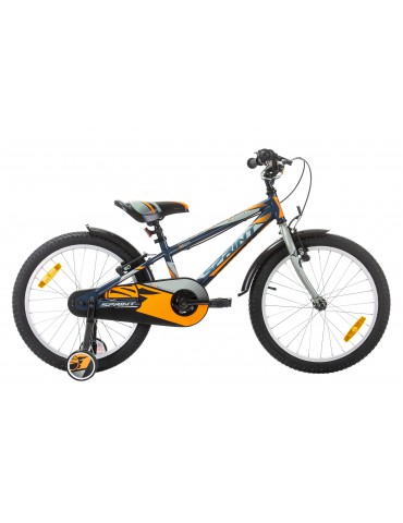 Kinderfietsen-20-inch